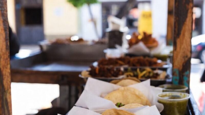 Best Tours in Puerto Vallarta (Top Experiences)