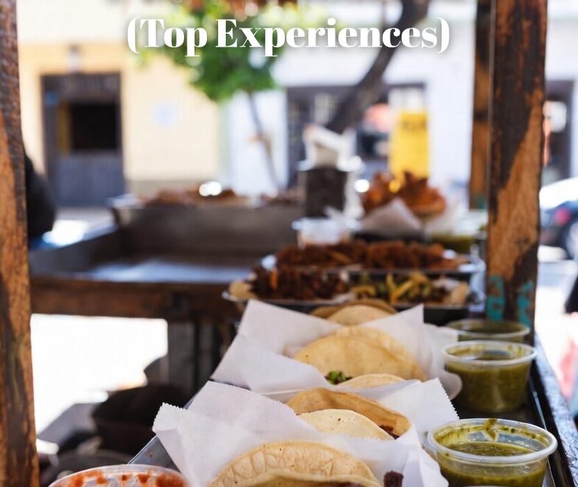 Best Tours in Puerto Vallarta (Top Experiences)